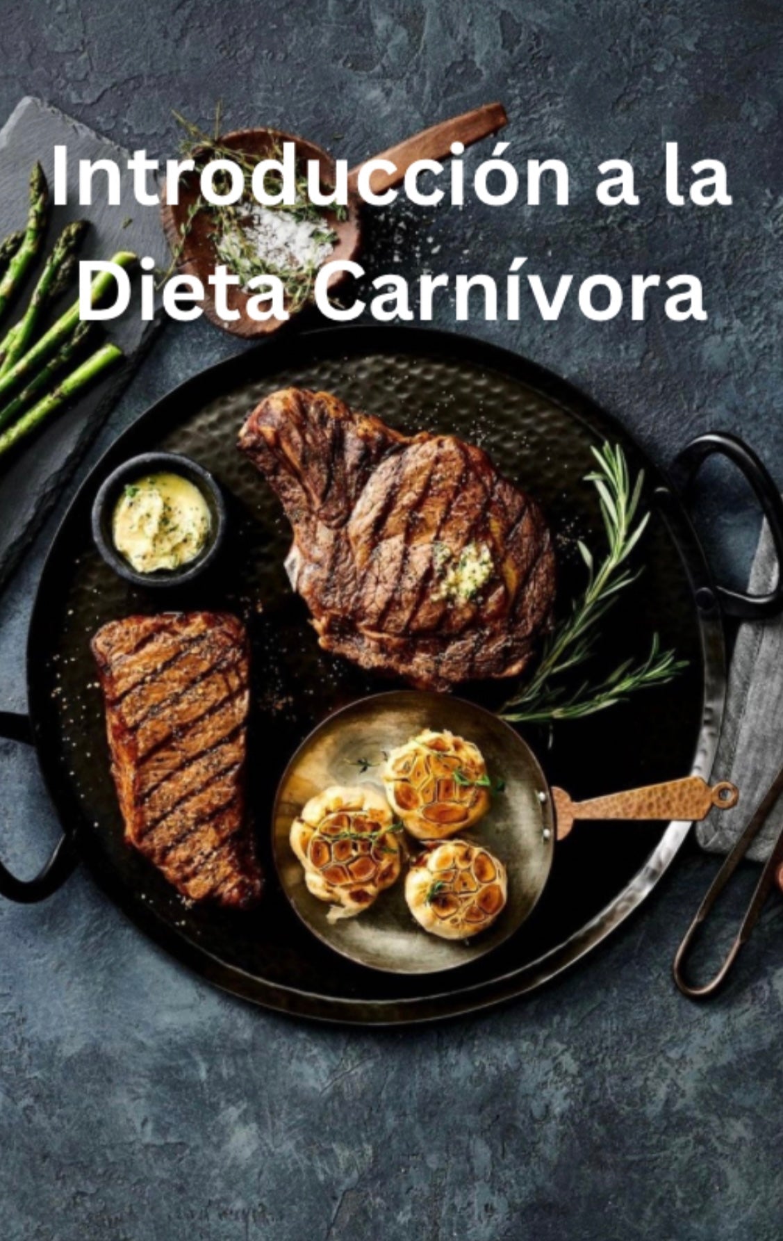 DIETA CARNÍVORA